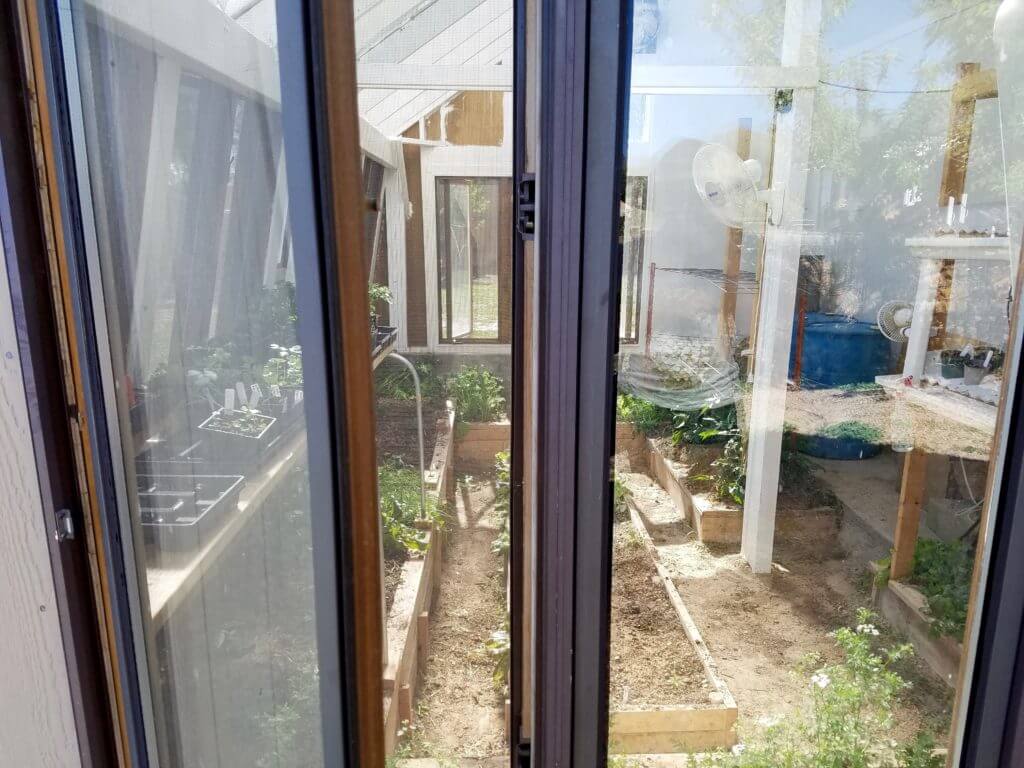 Inside the new greenhouse.